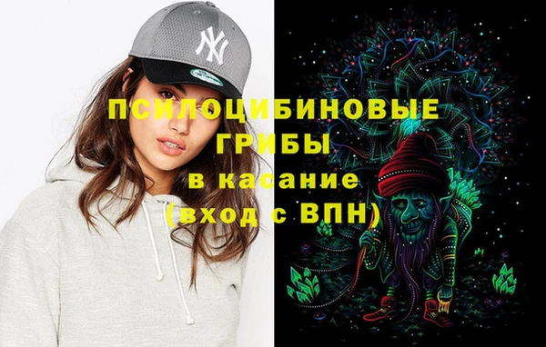 PSILOCYBIN Верхний Тагил