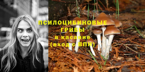 каннабис Верея