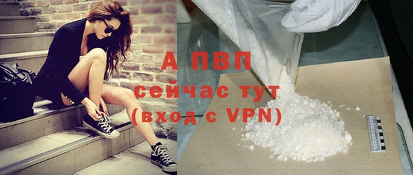 PSILOCYBIN Верхний Тагил